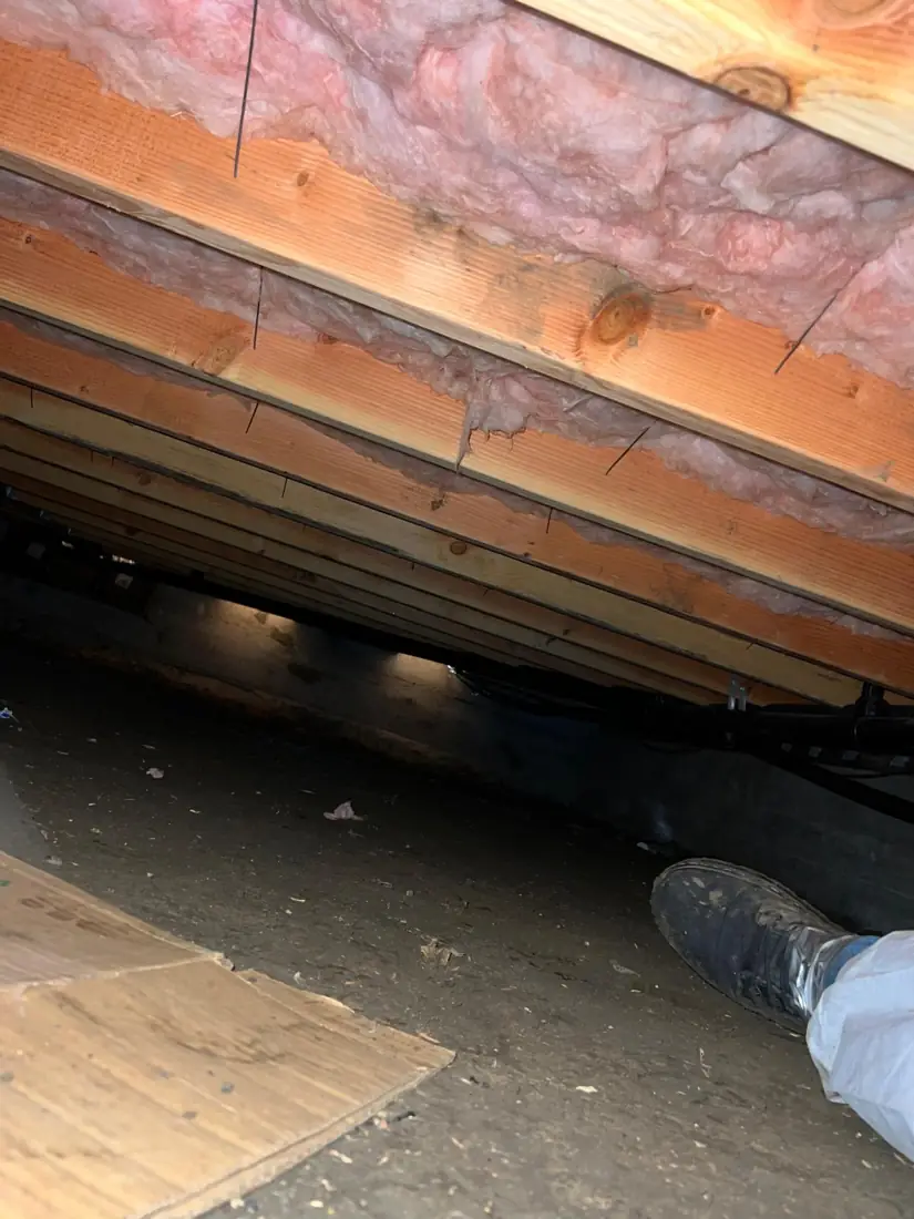 Underfloor insulation installed and supported between floor joists in a crawl space