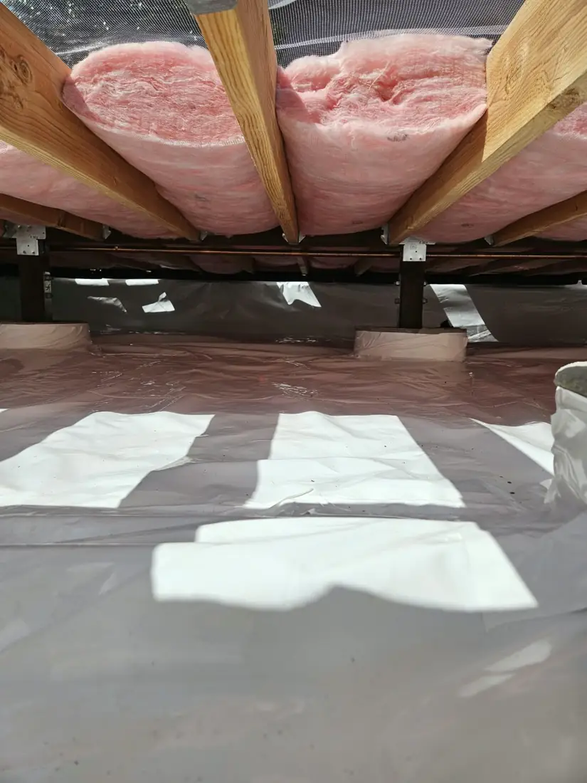 Crawl space with new underfloor batts and a white vapor barrier covering the soil