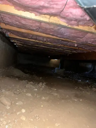 Finished crawl space insulation job