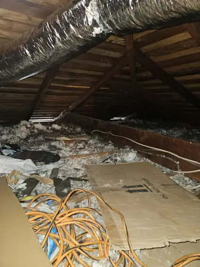 Attic full of old insulation and debris